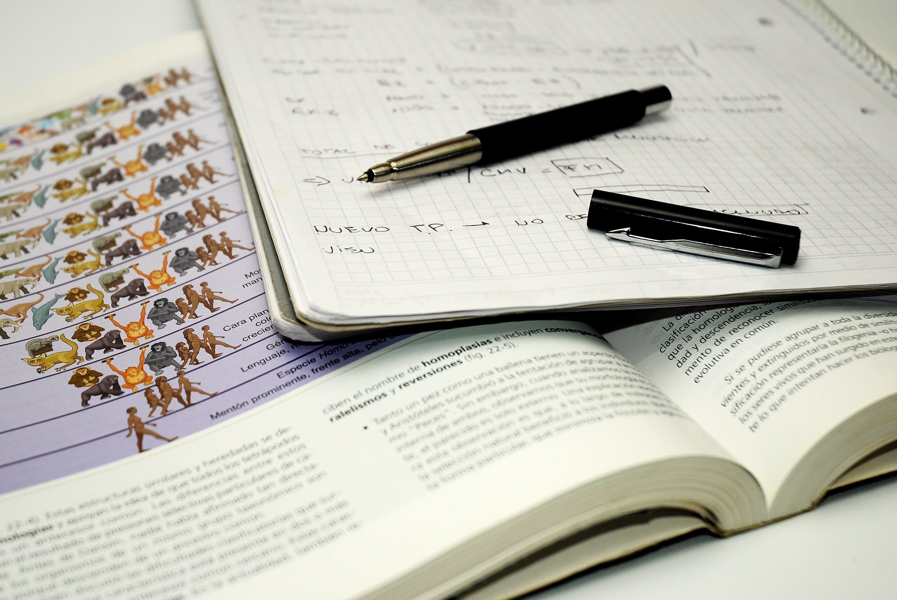 BAC la Matematică fără Stres – Meditația Ghidată pentru Concentrare, Memorare și Încredere în Ziua Examenului